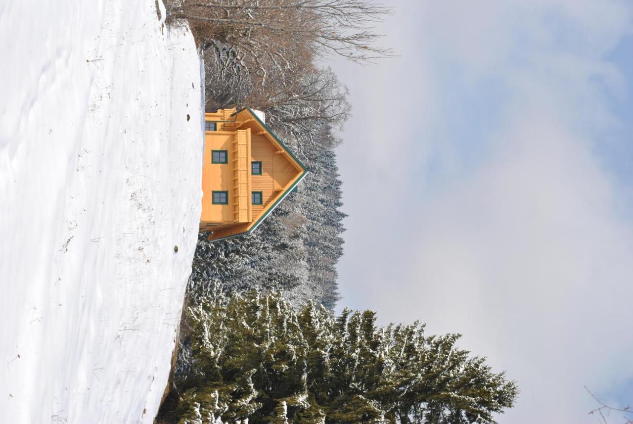 Ferienhaus Hochfelner Sankt Marein bei Knittelfeld Exterior photo